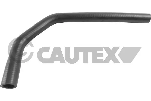 036740 Cautex