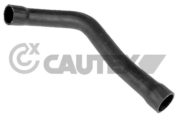 206009 Cautex