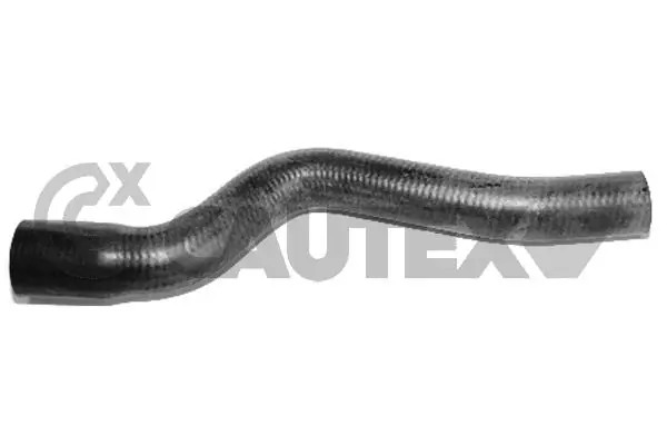 026616 Cautex