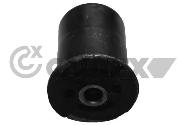 021276 Cautex