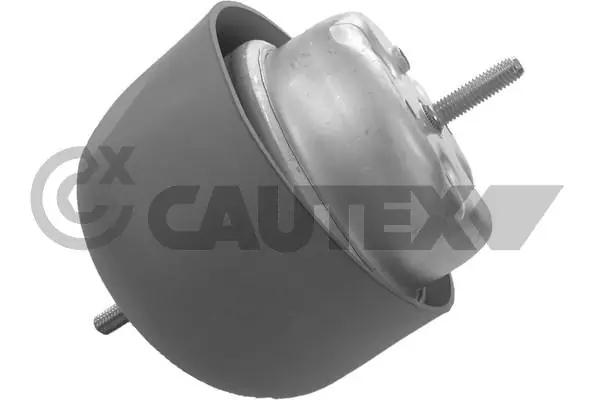 460905 Cautex