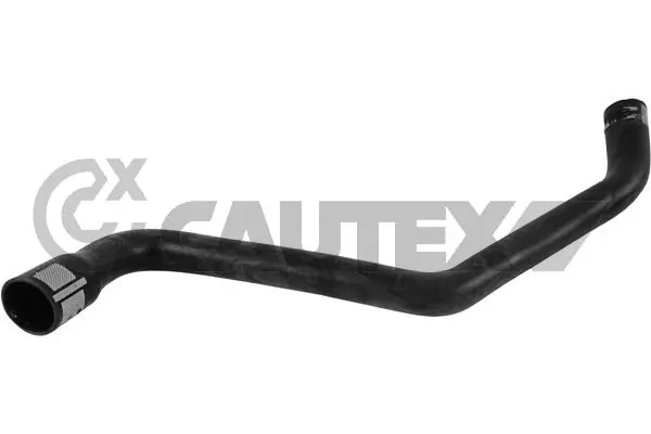 753781 Cautex