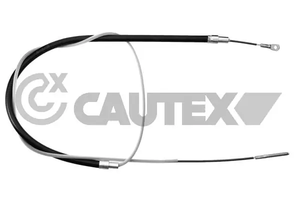 208017 Cautex