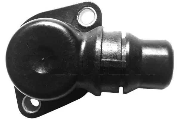 750546 Cautex