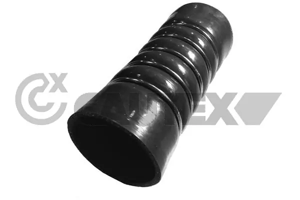 752980 Cautex