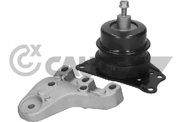 461068 Cautex