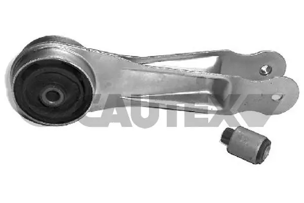 021397 Cautex