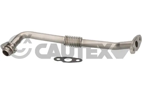 771639 Cautex