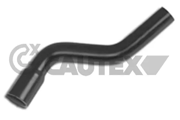481132 Cautex