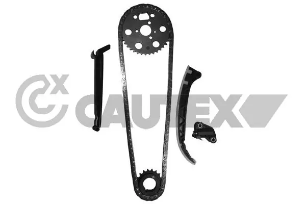 186719 Cautex