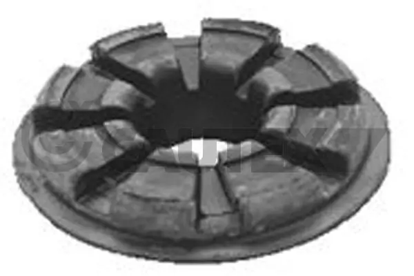 750106 Cautex