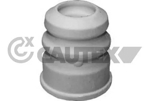 081229 Cautex