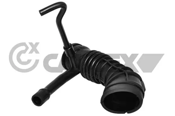 752688 Cautex
