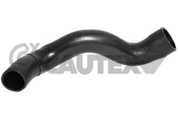 752956 Cautex