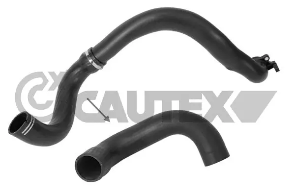 771652 Cautex