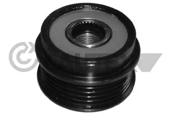 460971 Cautex