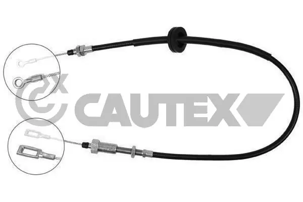 038499 Cautex