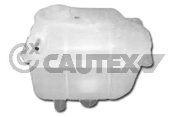 954258 Cautex