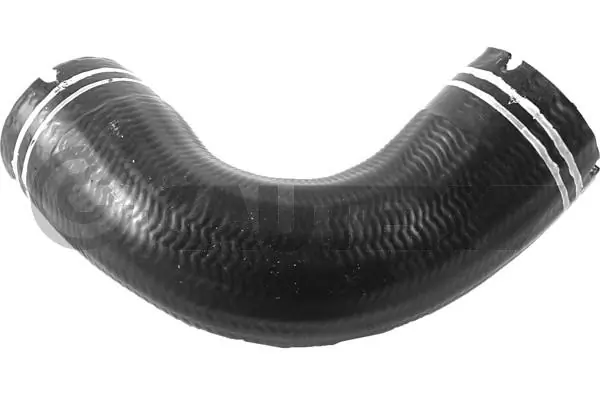 753093 Cautex