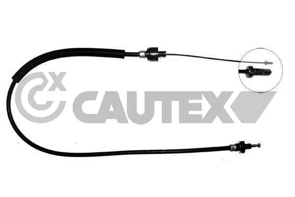 081195 Cautex