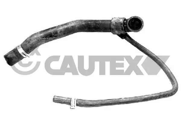 086396 Cautex
