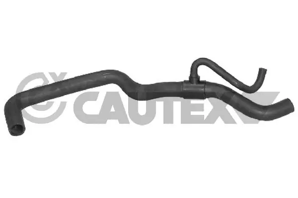 036393 Cautex