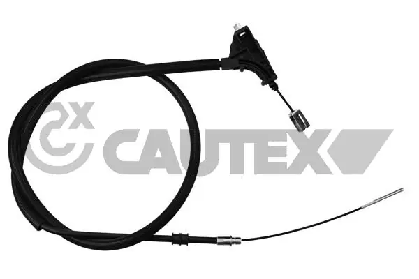 038510 Cautex