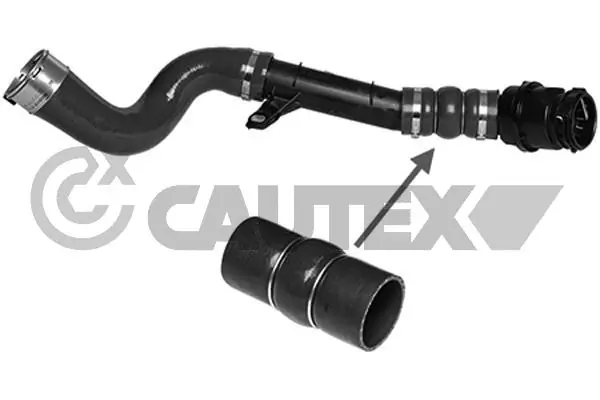753076 Cautex