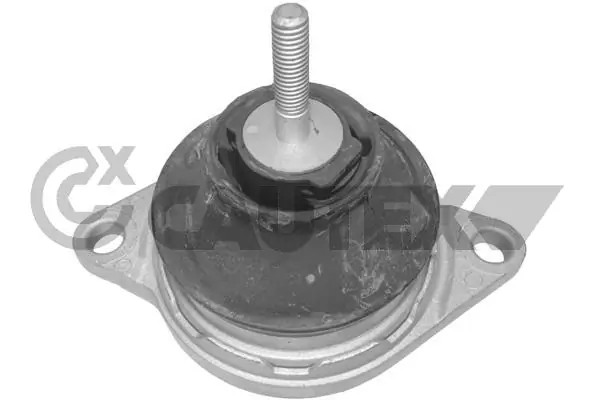 460443 Cautex