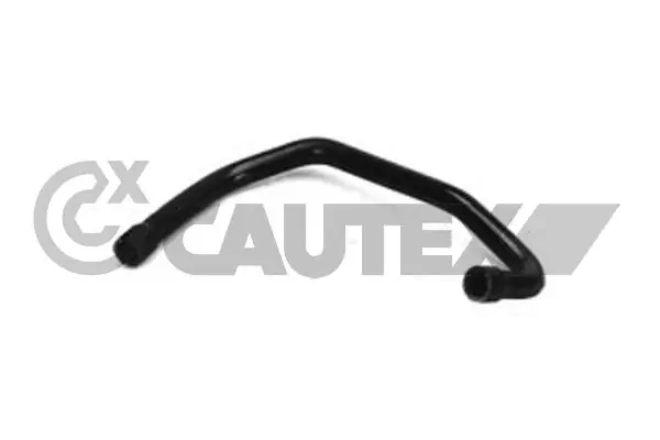 036079 Cautex