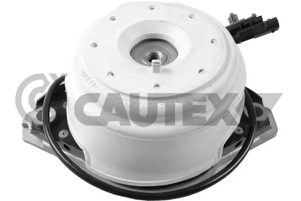 753569 Cautex