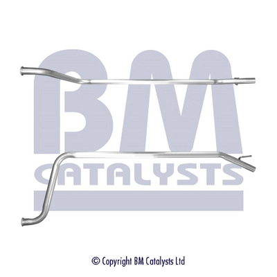 BM50629 BM Catalysts