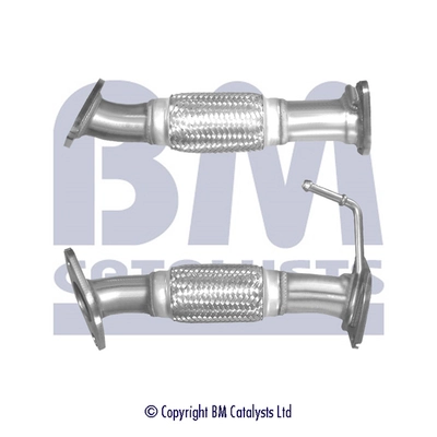 BM50316 BM Catalysts