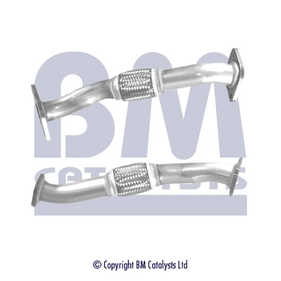 BM50310 BM Catalysts