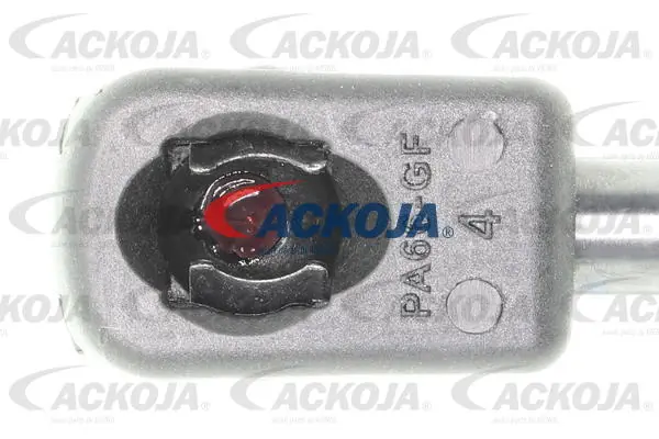 A510058 Ackojap Amortecedor de tampa de porta-malas (de 3ª/5ª porta traseira)