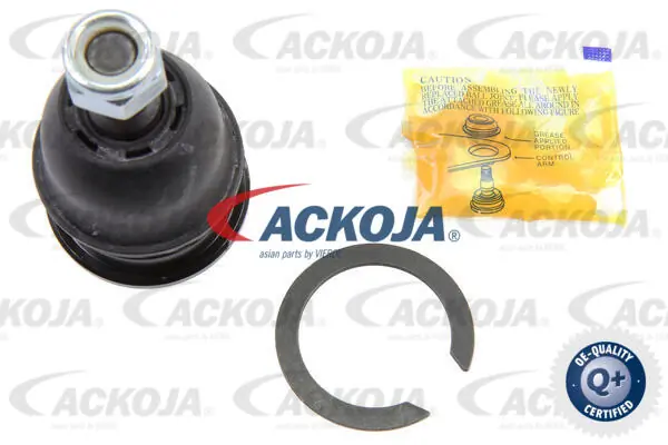 A520120 Ackojap
