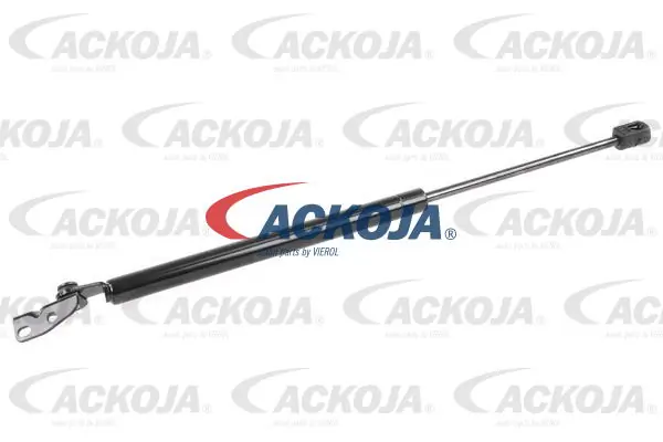 A520093 Ackojap