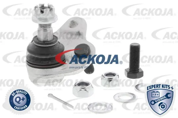 Comprar  Corolla  R10