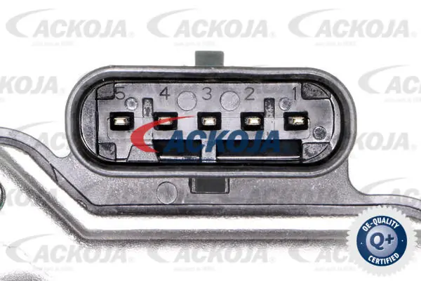 A52810007 Ackojap Válvula de borboleta montada