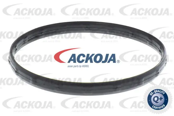 A26990012 Ackojap Termostato