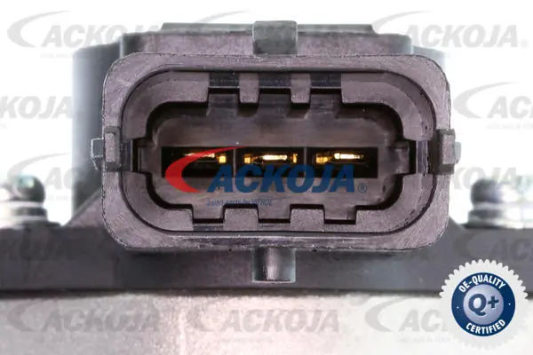 A53810006 Ackojap Válvula de borboleta montada