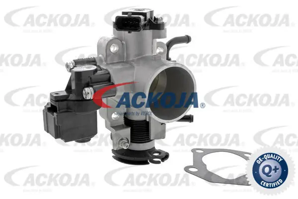 A53810002 Ackojap
