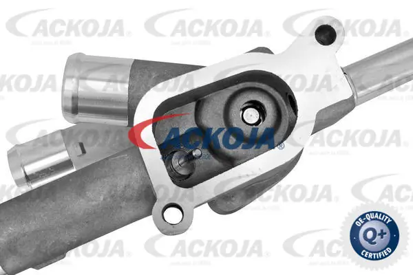Compre A520754 Ackojap Caixa do termostato
