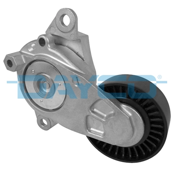 APV3029 Dayco