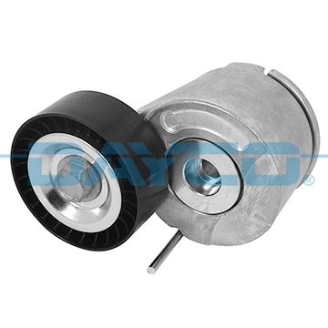 APV3865 Dayco
