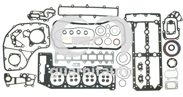 2996735 Iveco Kit de vedantes de motor completo