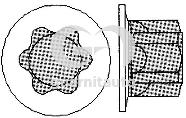 Parafuso de cabeça de motor (CBC) para Citroen C3 II A51