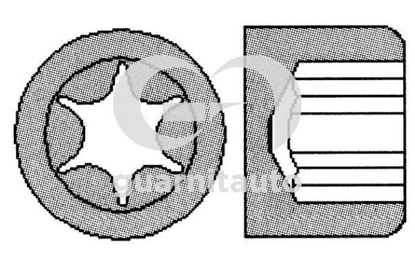 Parafuso de cabeça de motor (CBC) Ford Kuga II CBS