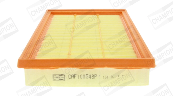 CAF100548P Champion