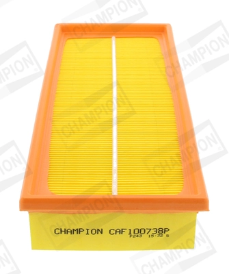 CAF100738P Champion